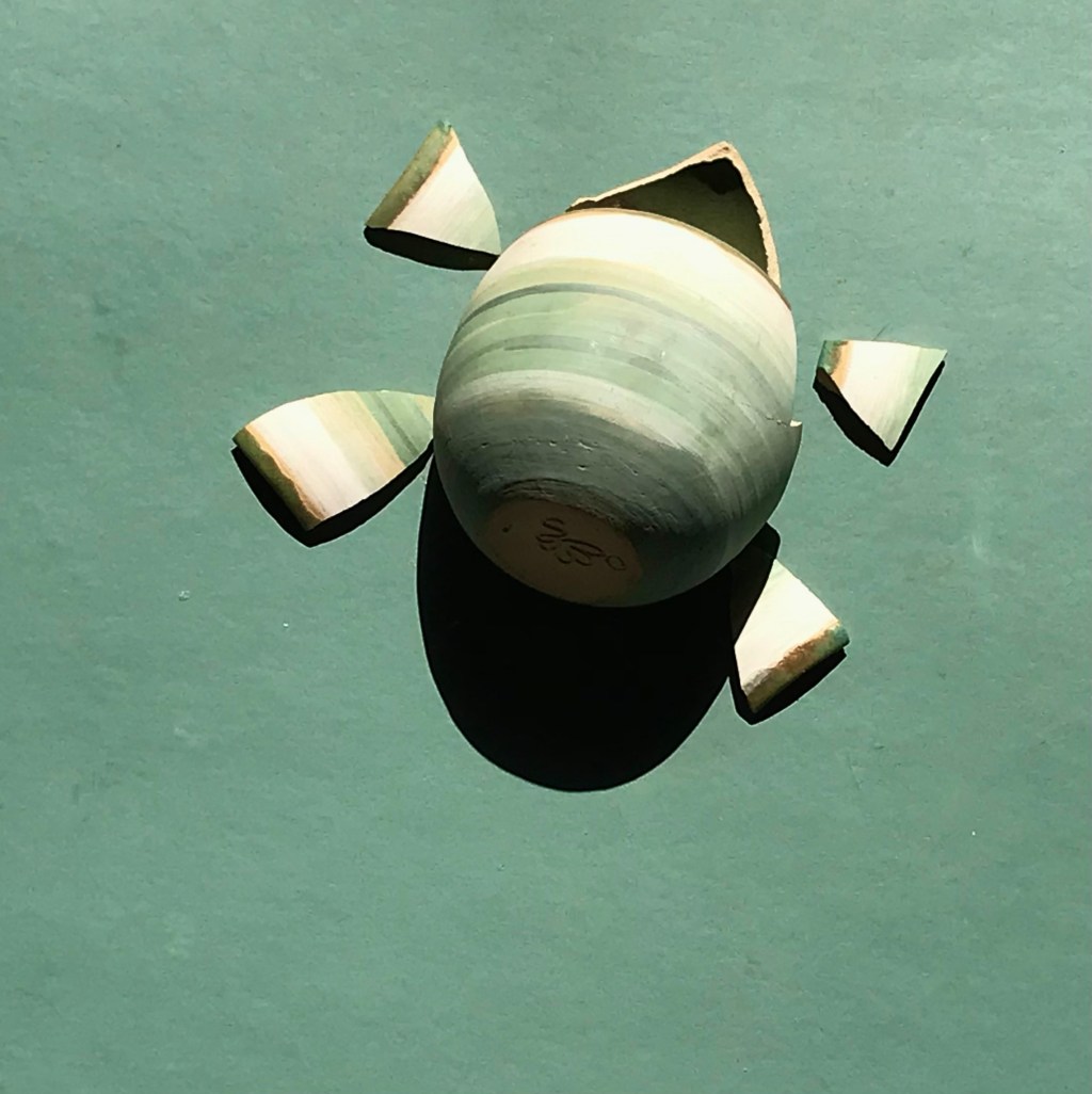 Tortue – animation